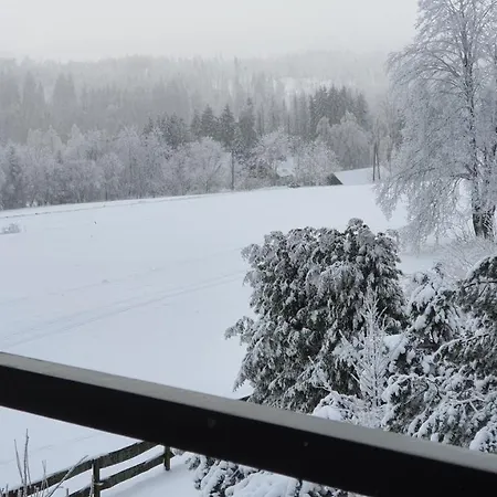 Bergblick Apartment Braunlage